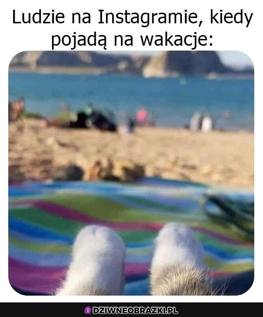 Takie łapki to bym oglądał :D 