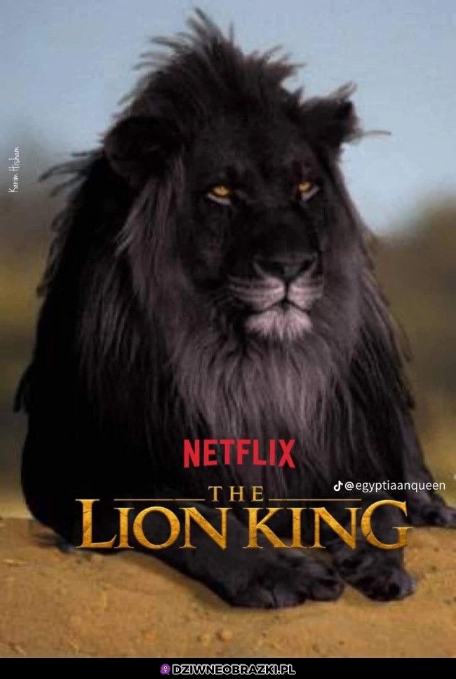 Netflixowane