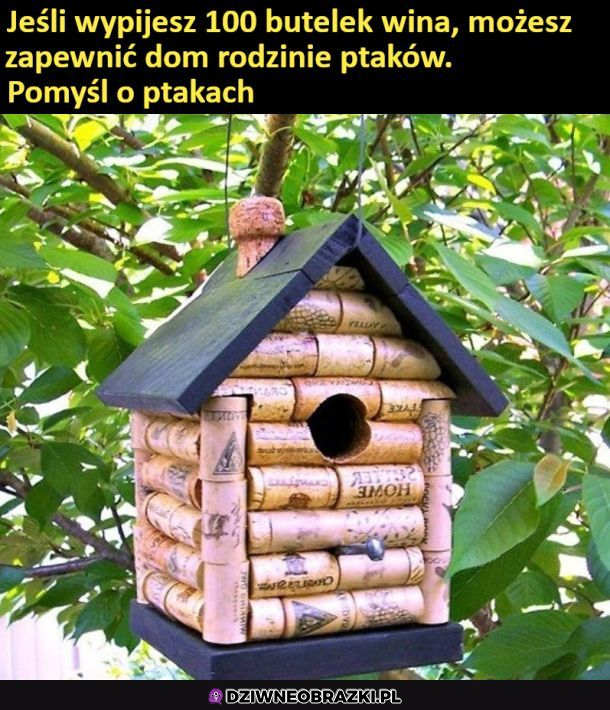 Pomagajmy ptakom