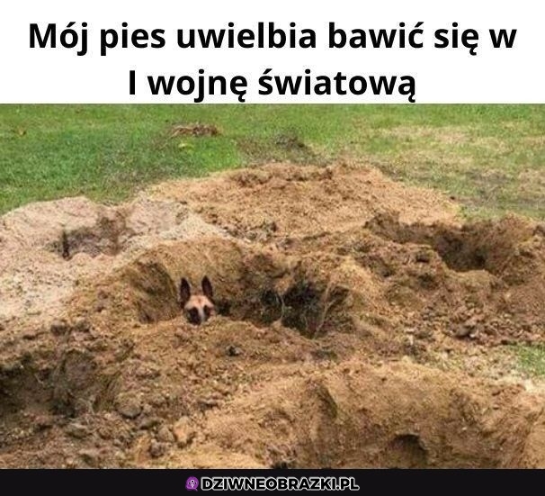 Ulubiona zabawa w okopy