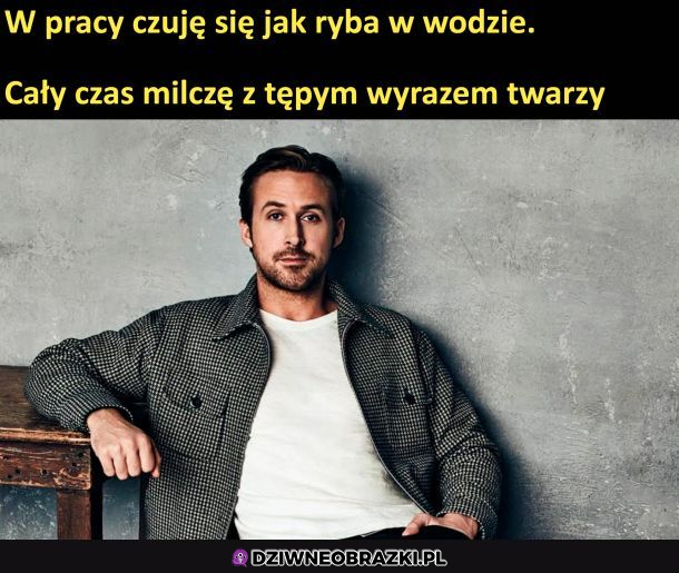 Jak ryba w wodzie