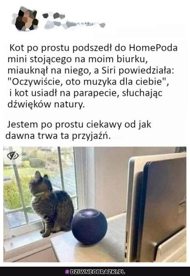 nietypowa przyjaźń