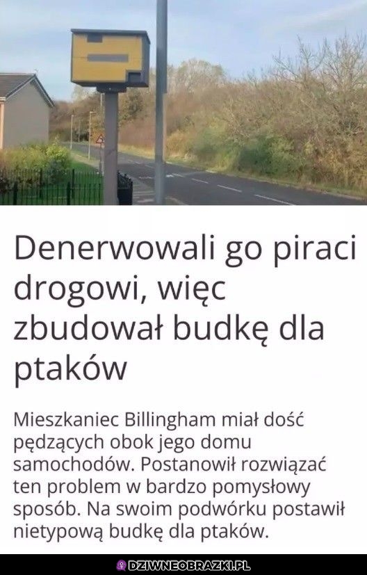 Spryciarz