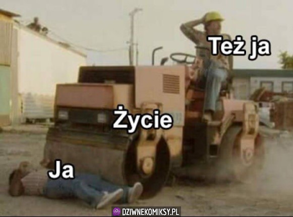 Tak to wygląda