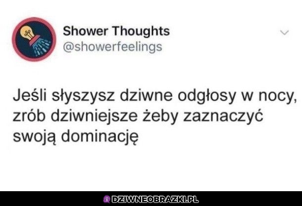 Rada na dziś