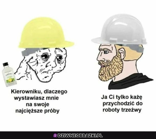 Kierowniku...