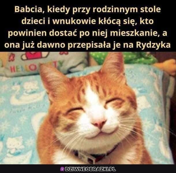 Babcia