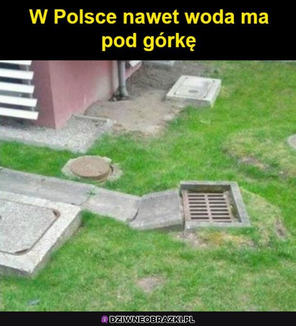 Typowy widok w Polsce