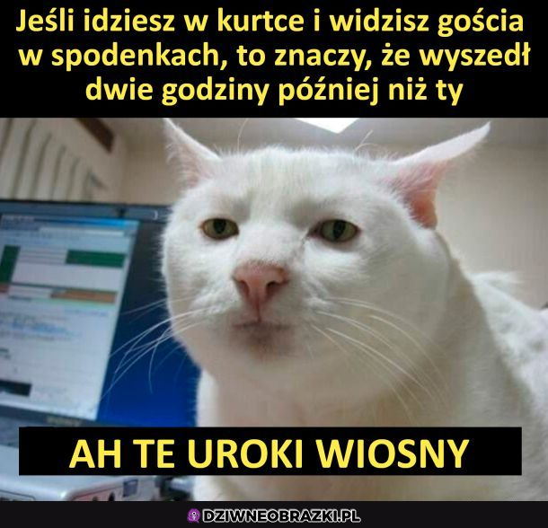Uroki wiosny