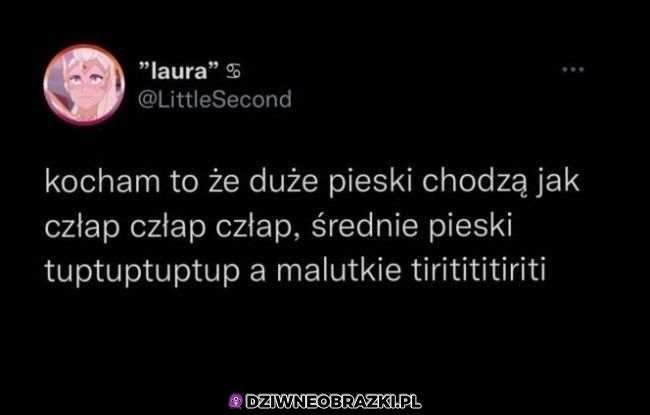 Chodzenie piesków