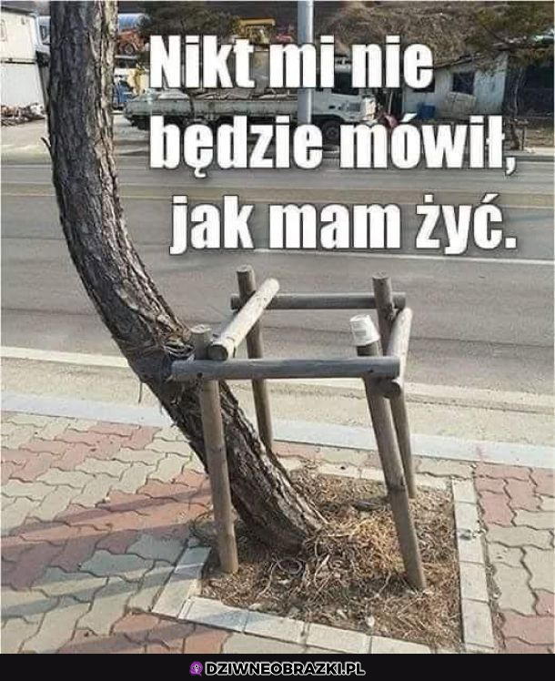 Nikt nie będzie mi mówił
