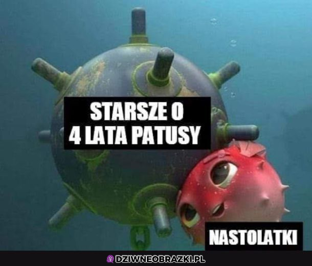 Relacje takie są