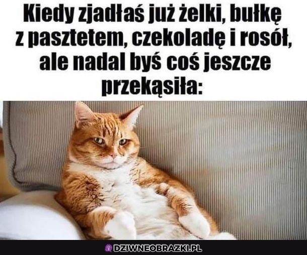 Jakiegoś tuńczyka można by hapnąć 