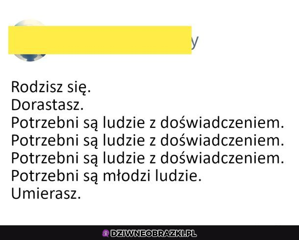 Koło życia 