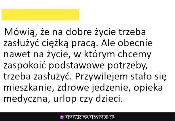 Co jest przywilejem?