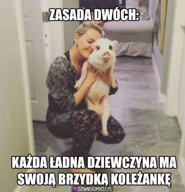 Zasada dwóch