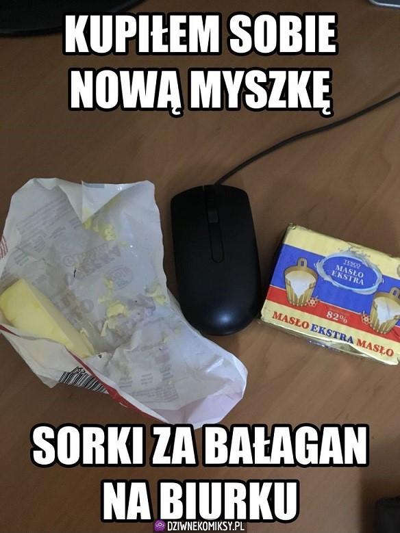 Bogacz panie