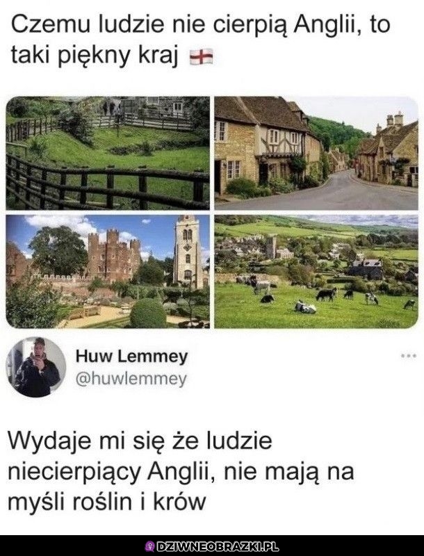 To nie o kraj chodzi