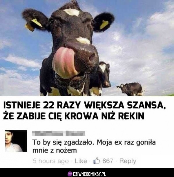Szansa na śmierć