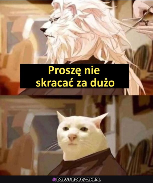 Typowa wizyta u fryzjera