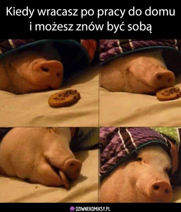 No nareszcie