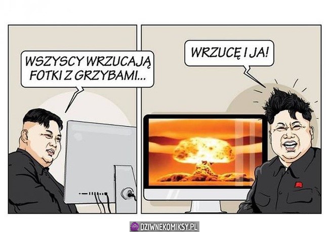 Fotki z grzybami