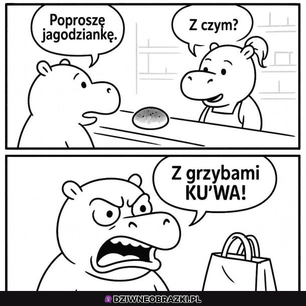 Głupie pytanie