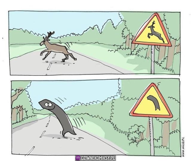 WTF