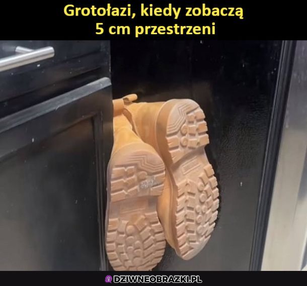 Grotołazi