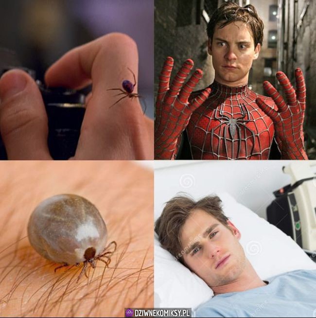 Taka różnica