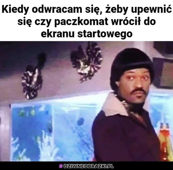 Spojrzenie na odchodne