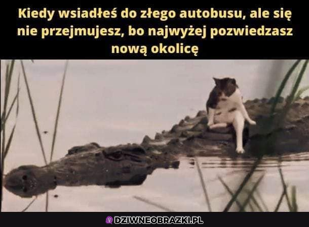 W sumie jest git