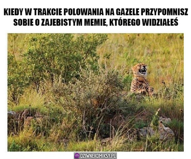 Hehe