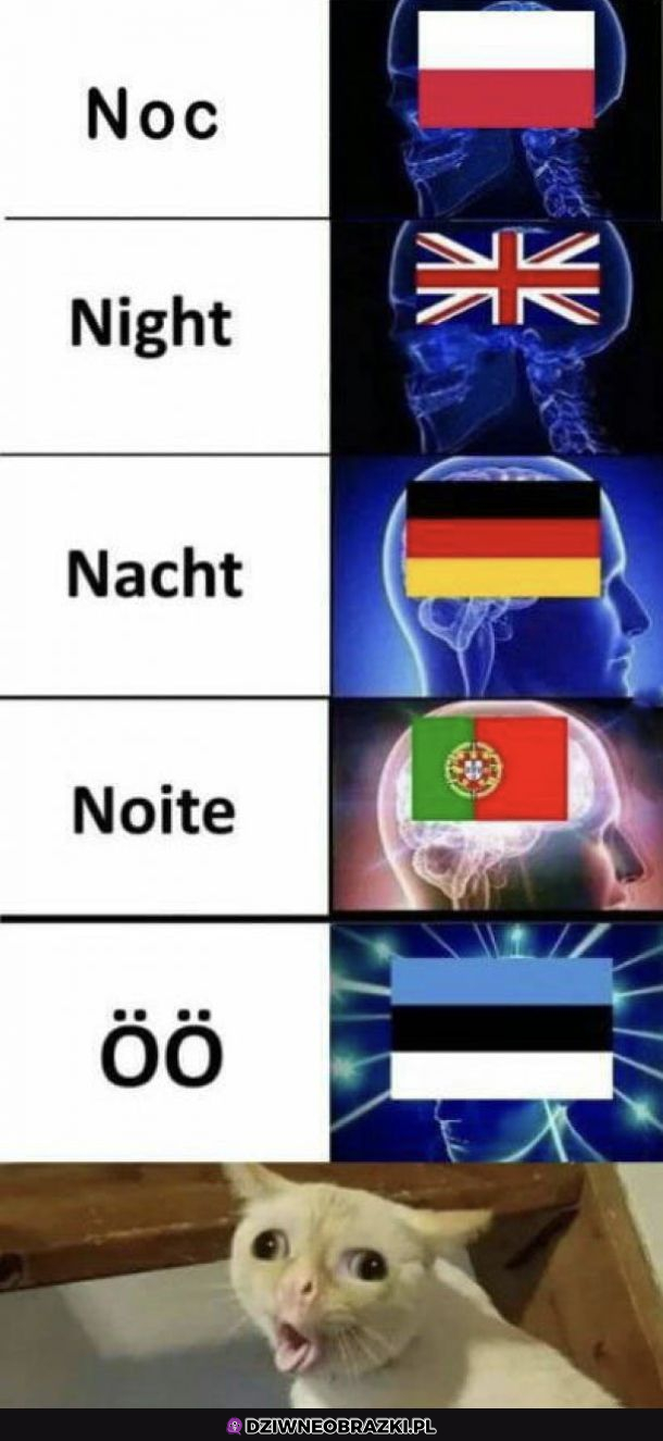 ale wymyślili