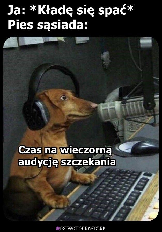 Nowy repertuar