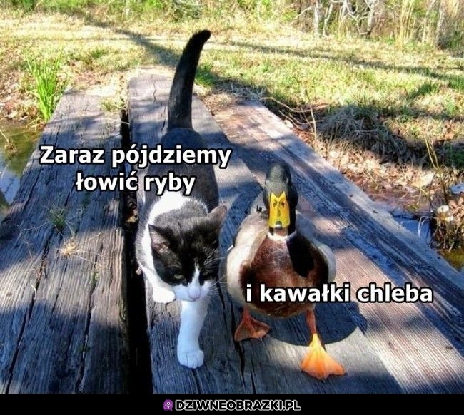 Wypad z ziomkiem