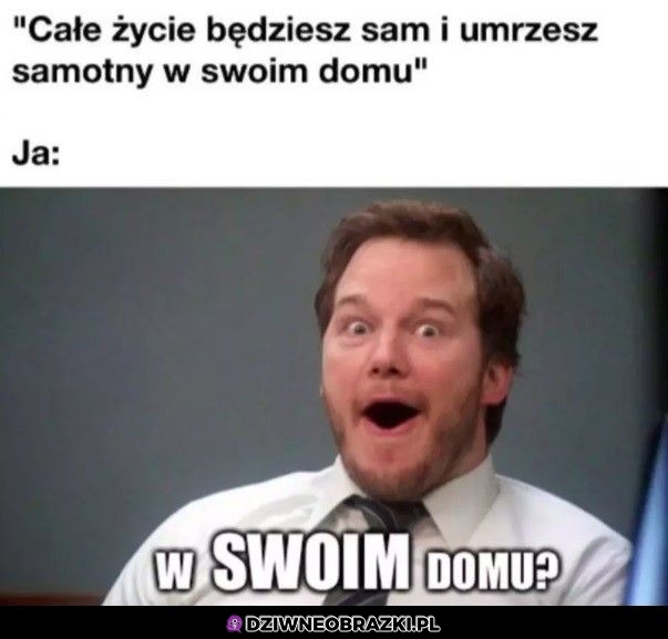Brzmi jak pełen sukces