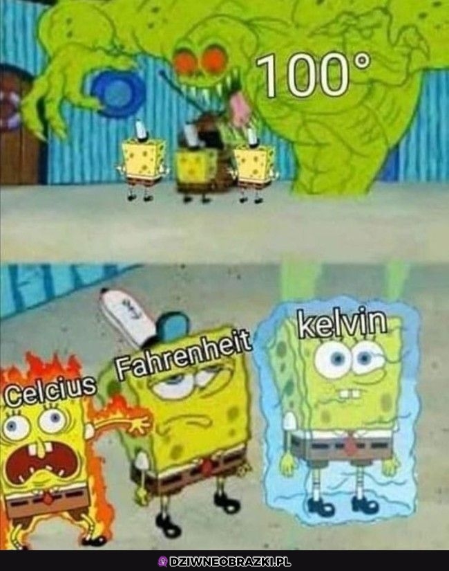 100 nie są sobie równe