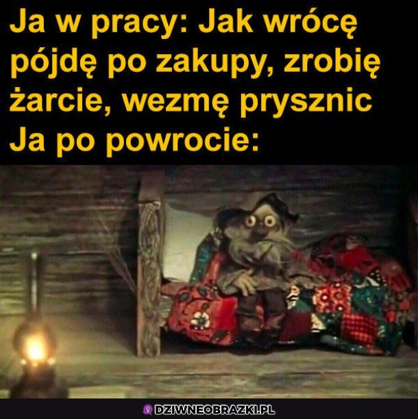 Tyle planów...