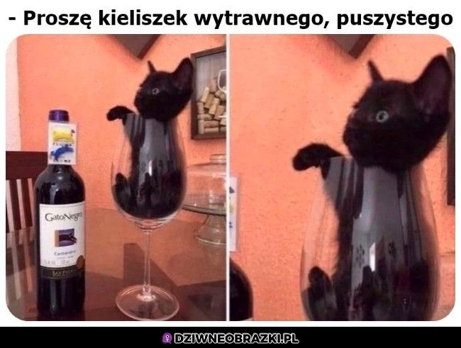 Kieliszek poproszę