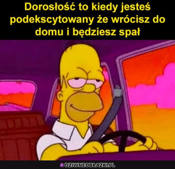 To jest dorosłość