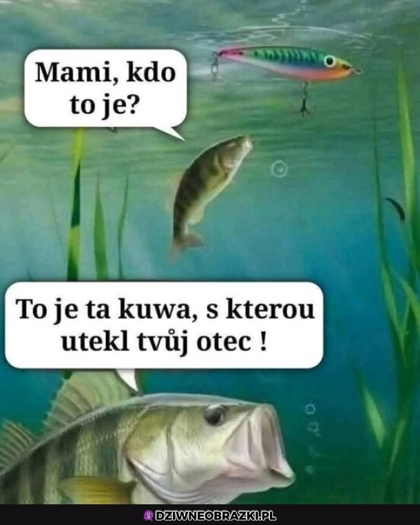 Mamooo kto to 