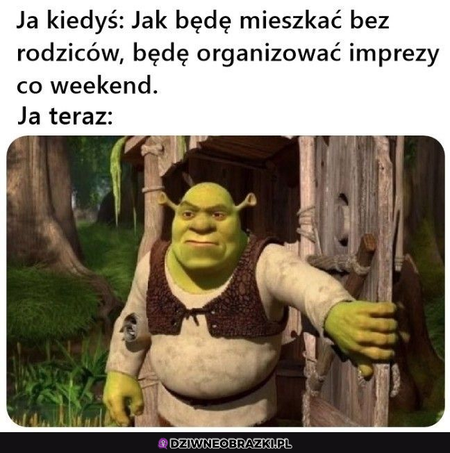To moje samotne bagno 