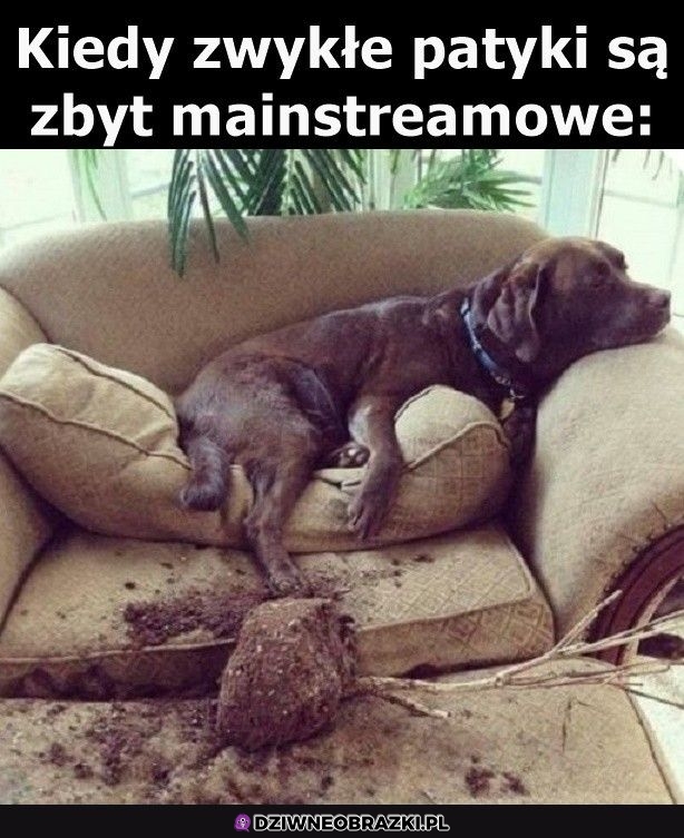 Ogrodnik