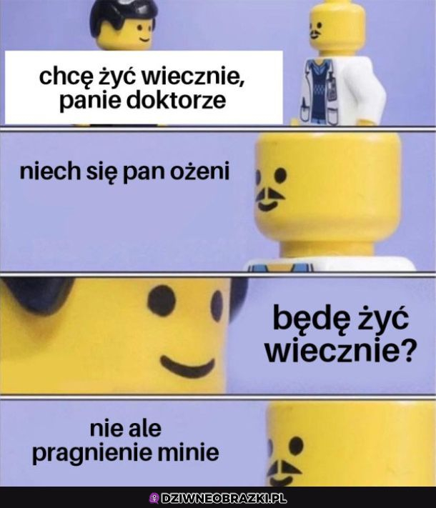 porada lekarska