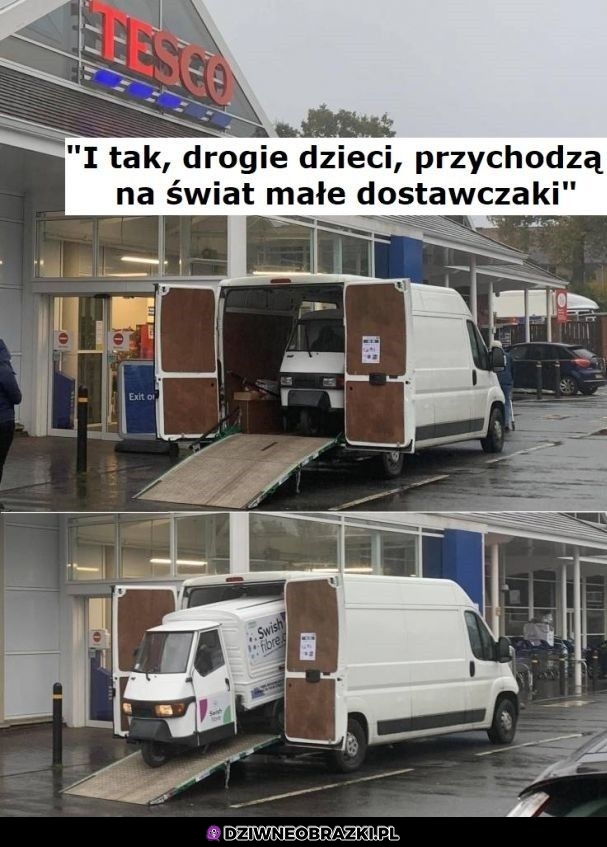 Poród