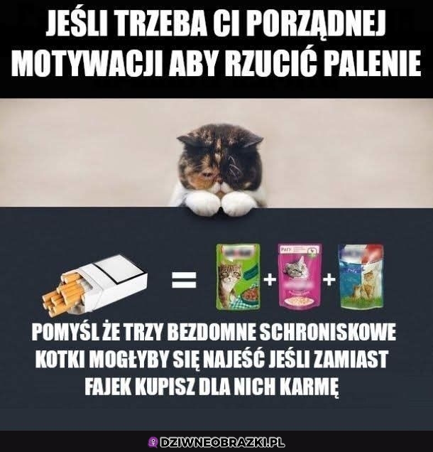 Motywacja