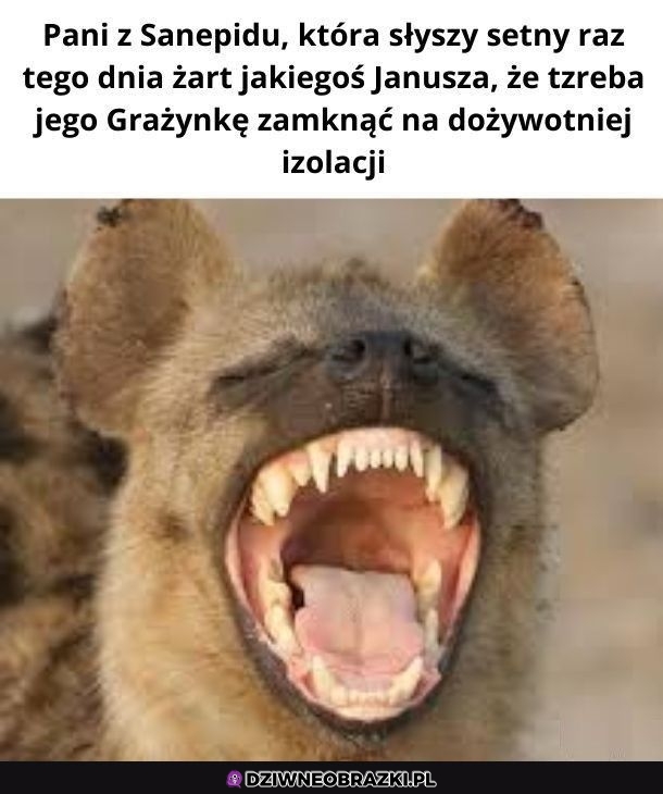 No bardzo śmieszne