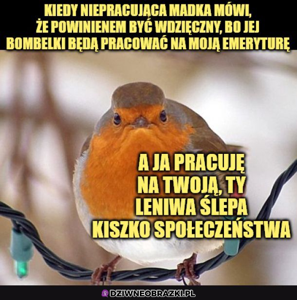 Kiszka społeczeństwa 