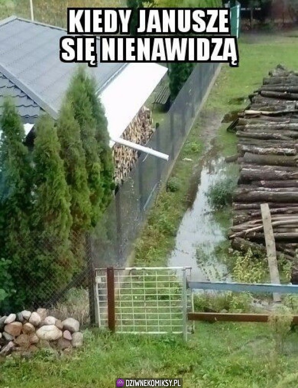 Utopi skurwesyna